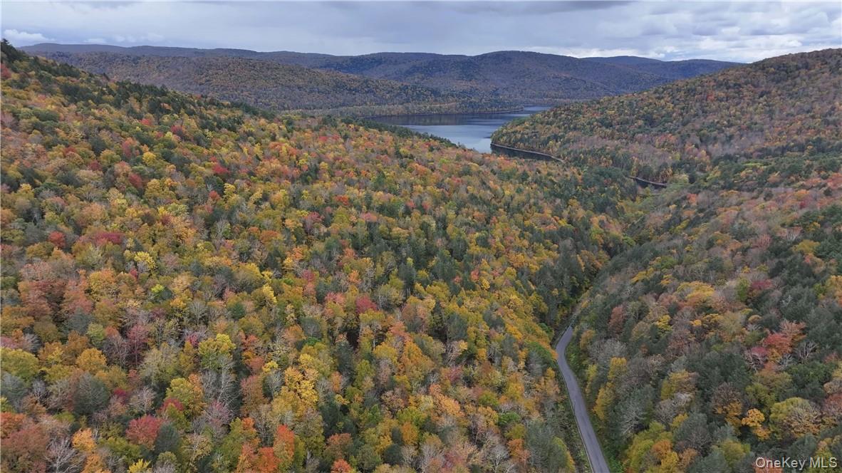 #4 photo, Huntley Hollow Road, Colchester , NY 13752