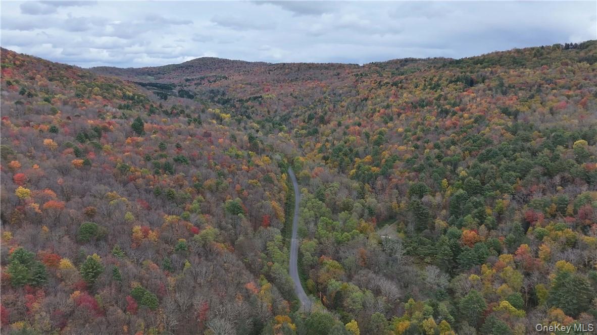 #6 photo, Huntley Hollow Road, Colchester , NY 13752