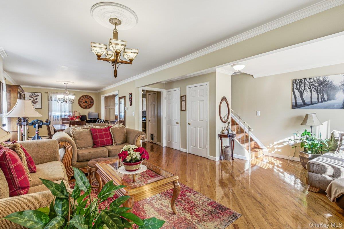 #3 photo, 17215 126th Avenue, 뉴욕퀸즈 Jamaica , NY 11434