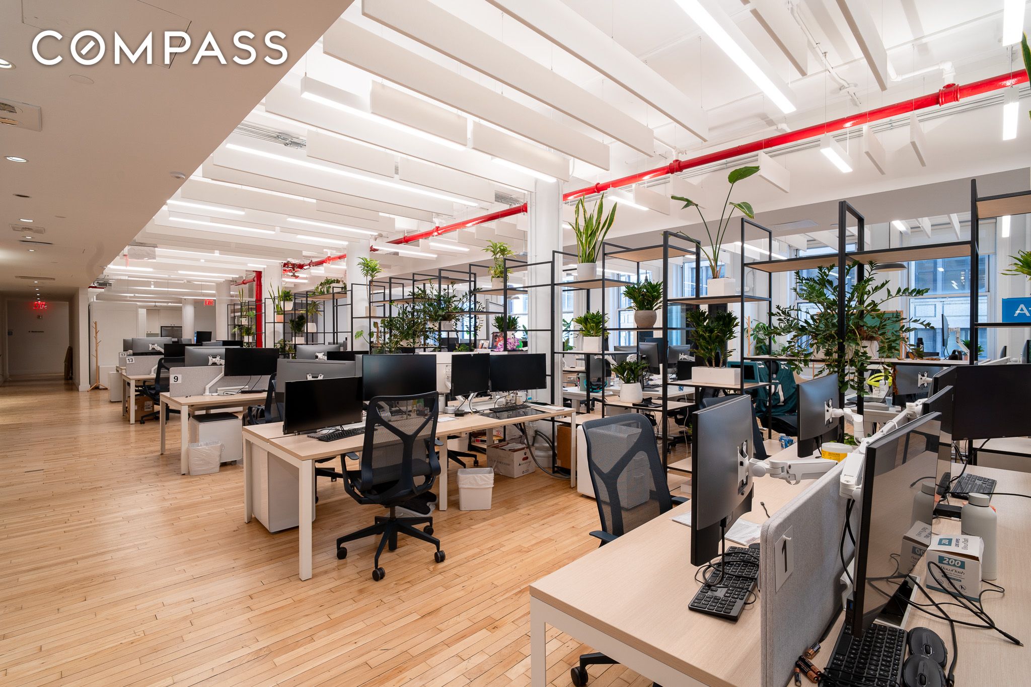 #8 photo, 85 5th Avenue, Flatiron , NY 10003