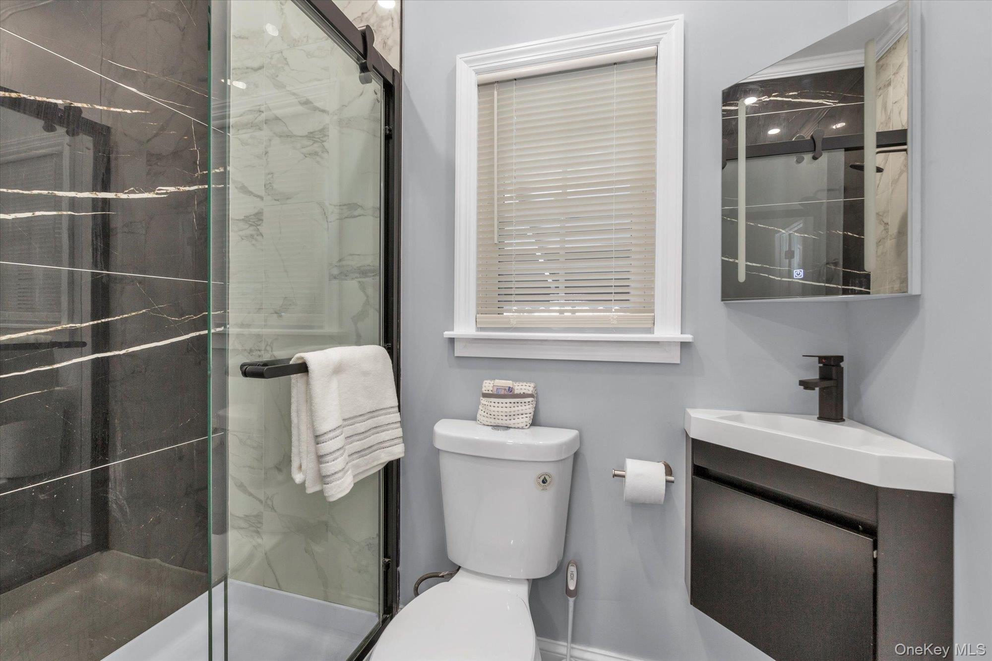 #15 photo, 246 Wellington Road, Mineola , NY 11501