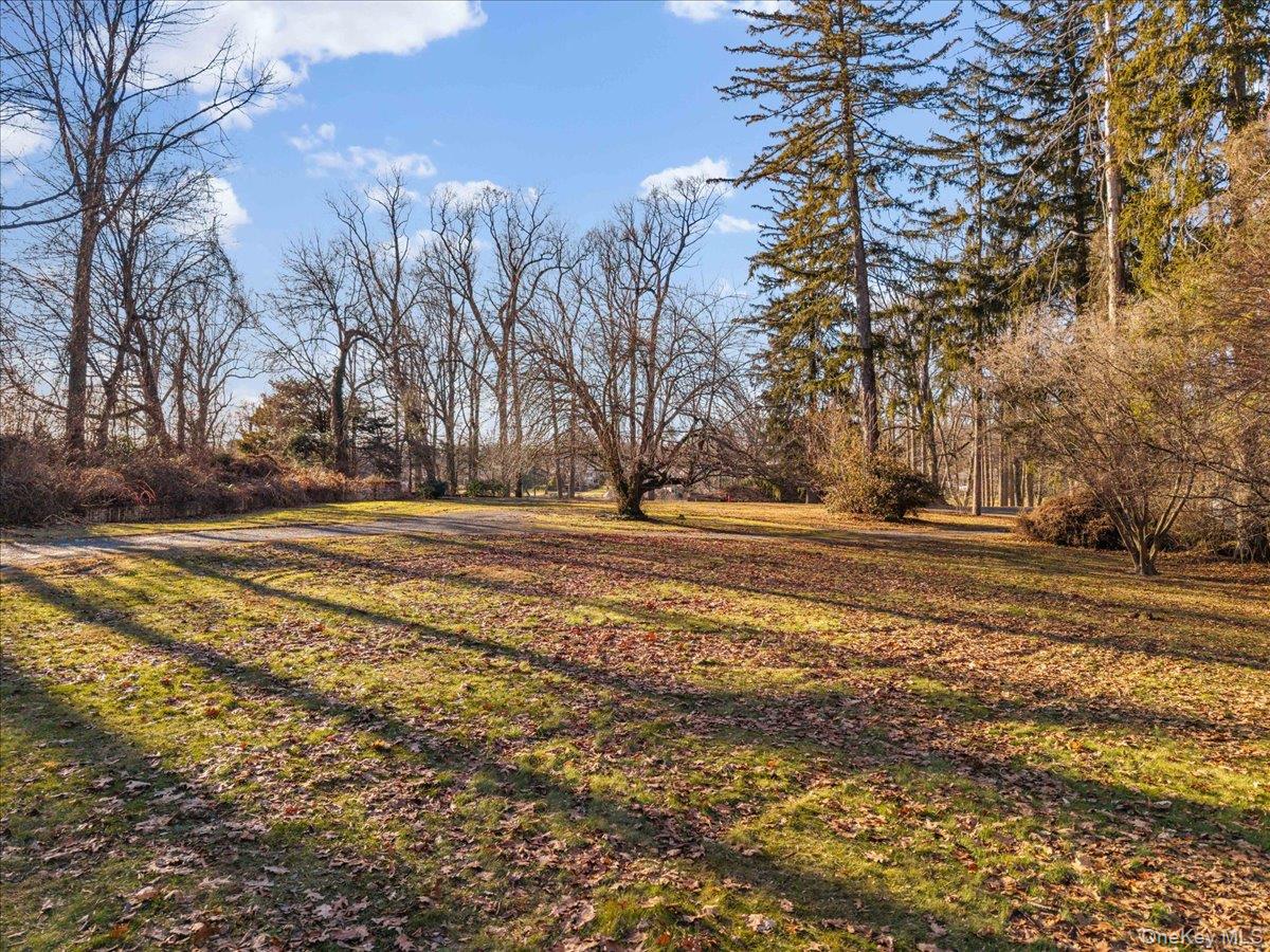 #8 photo, 234 Wilmot Road, New Rochelle , NY 10804