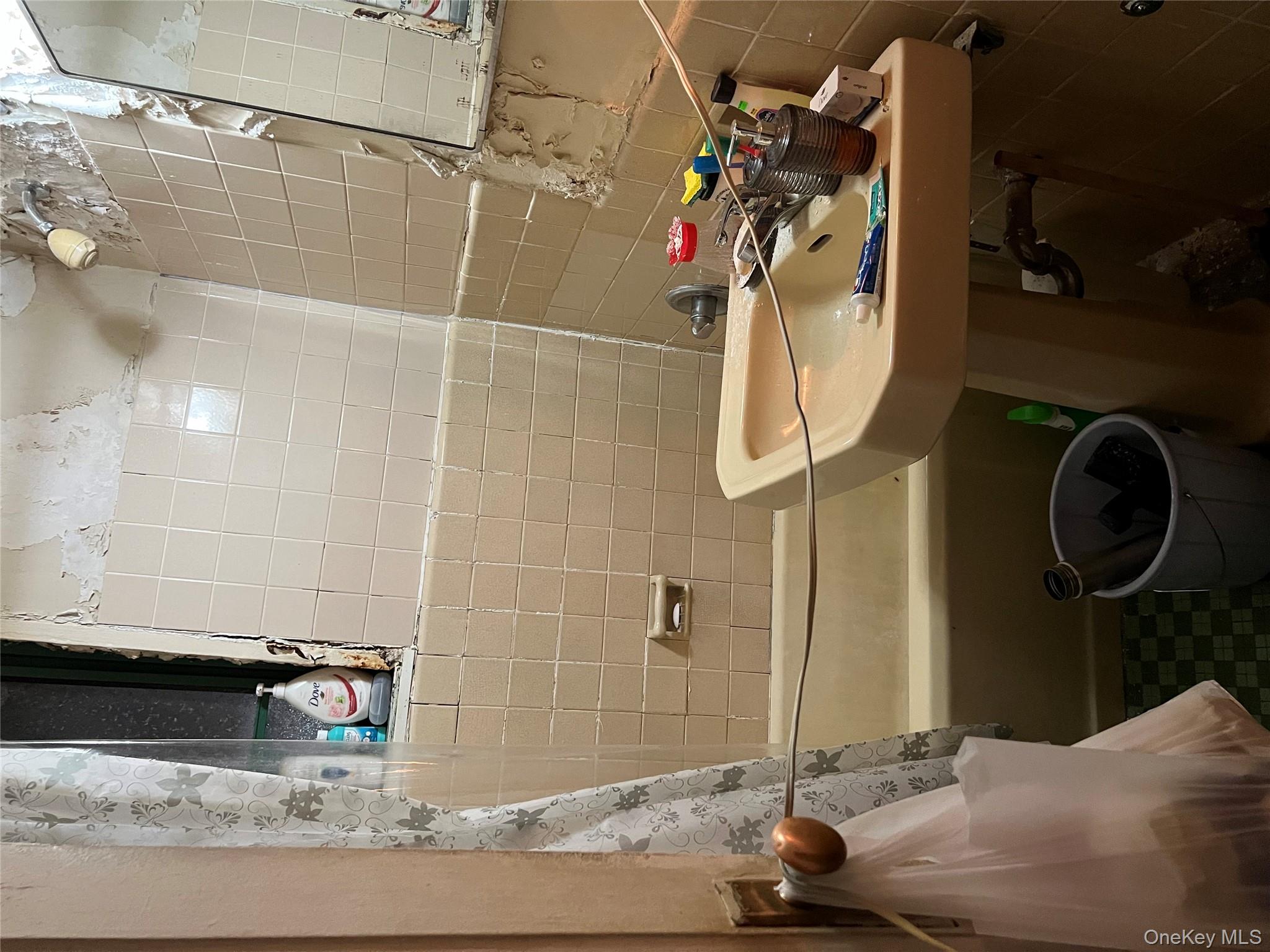 #5 photo, 1725 Purdy Street, Bronx , NY 10462