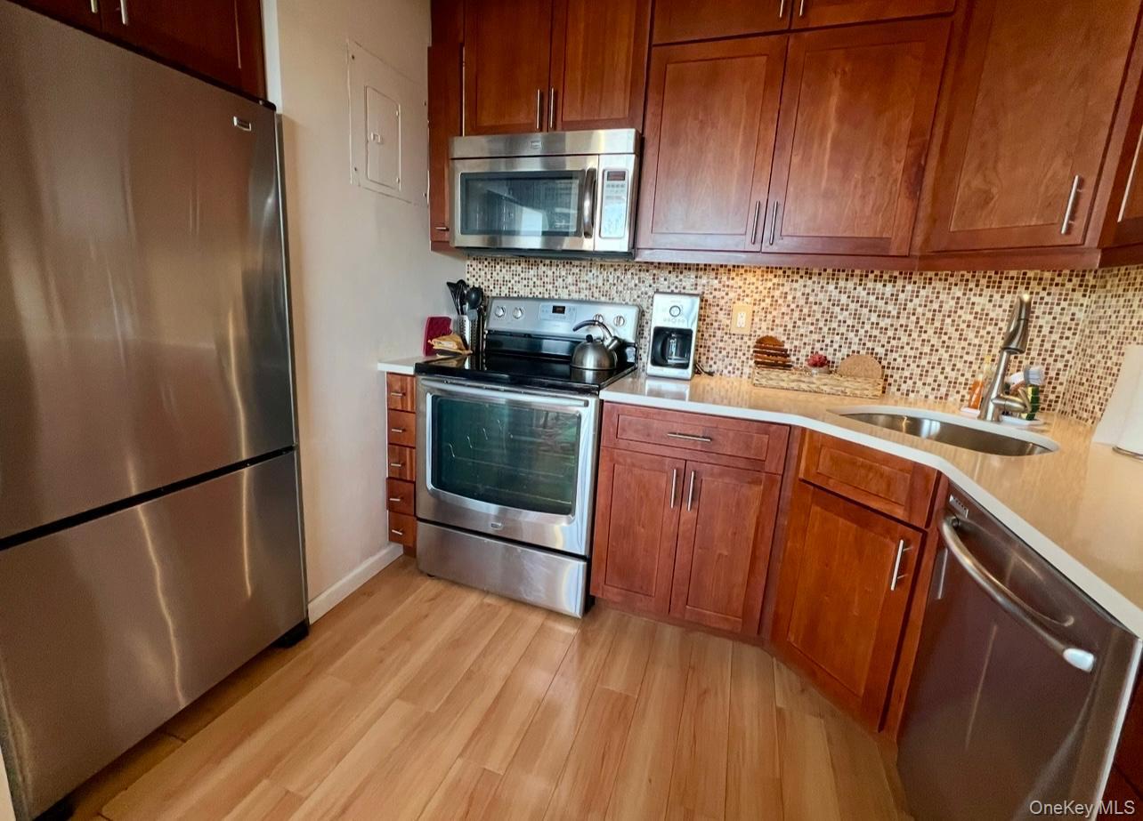 #11 photo, 1 David, Yonkers , NY 10701