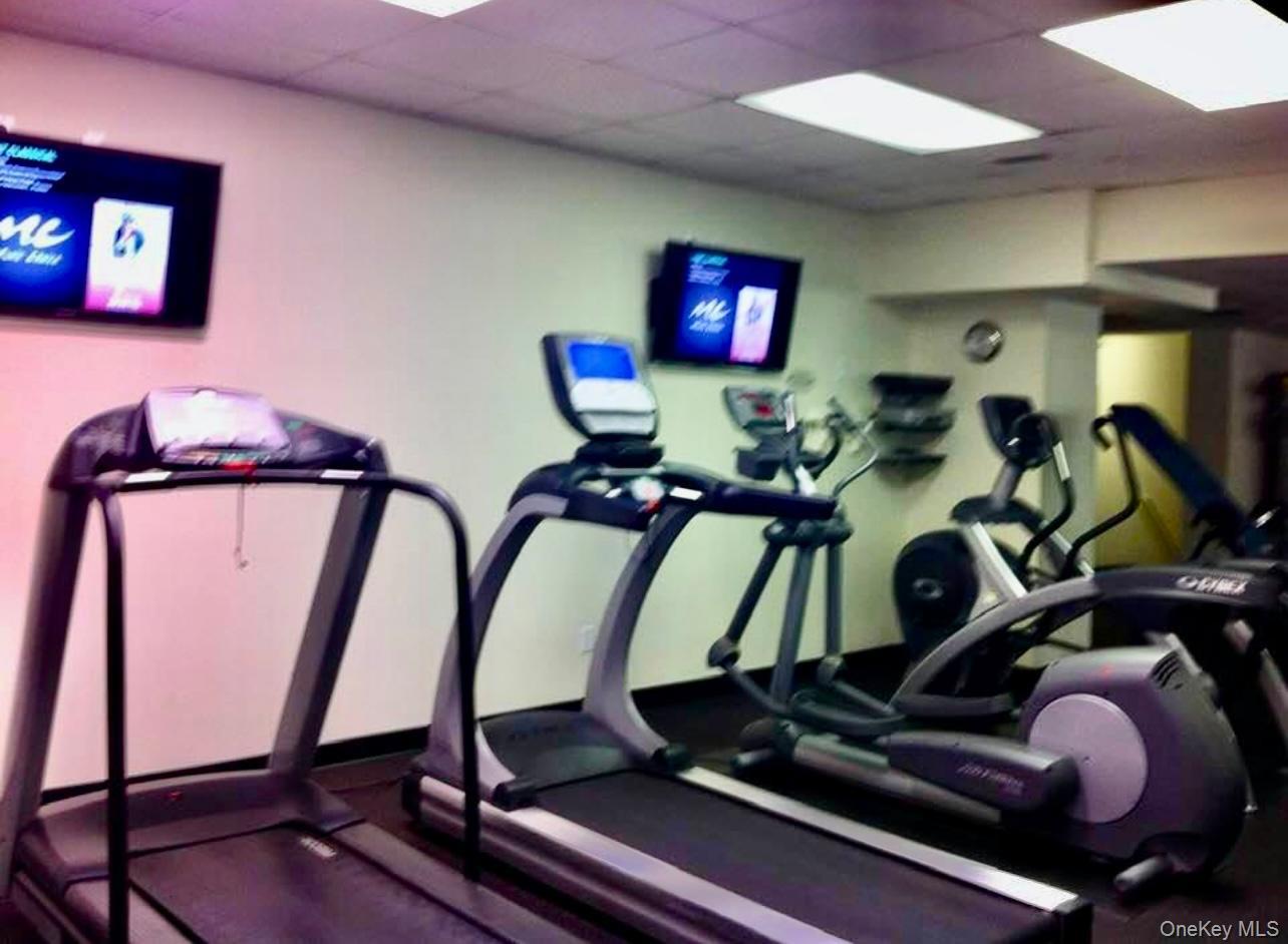 #15 photo, 1 David, Yonkers , NY 10701