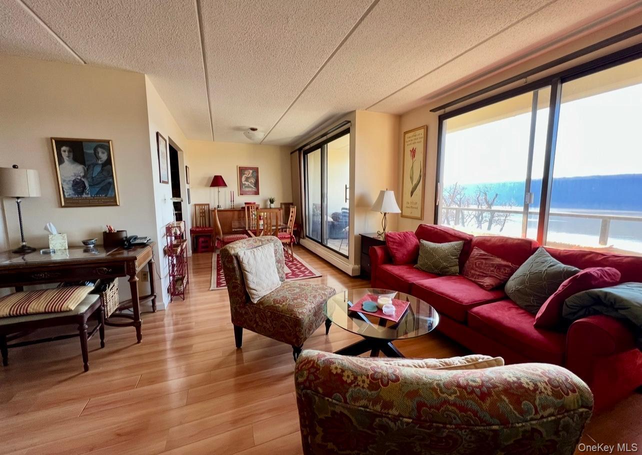 #8 photo, 1 David, Yonkers , NY 10701