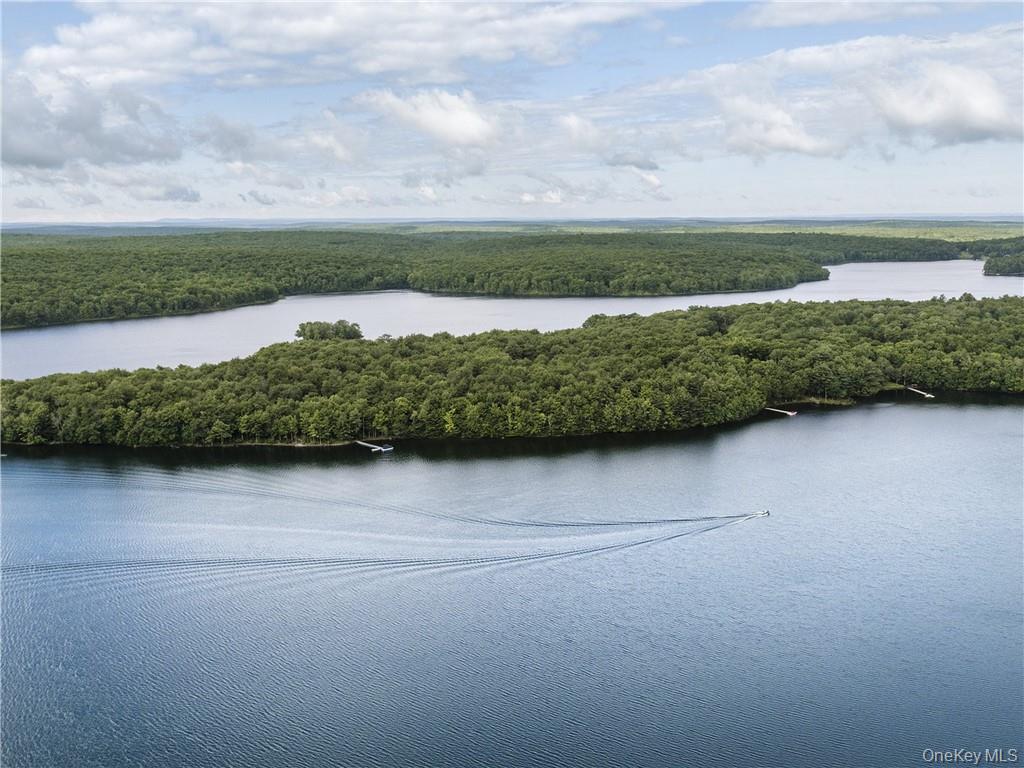 #15 photo, Lot 4 Chapin Trail, Bethel , NY 12720