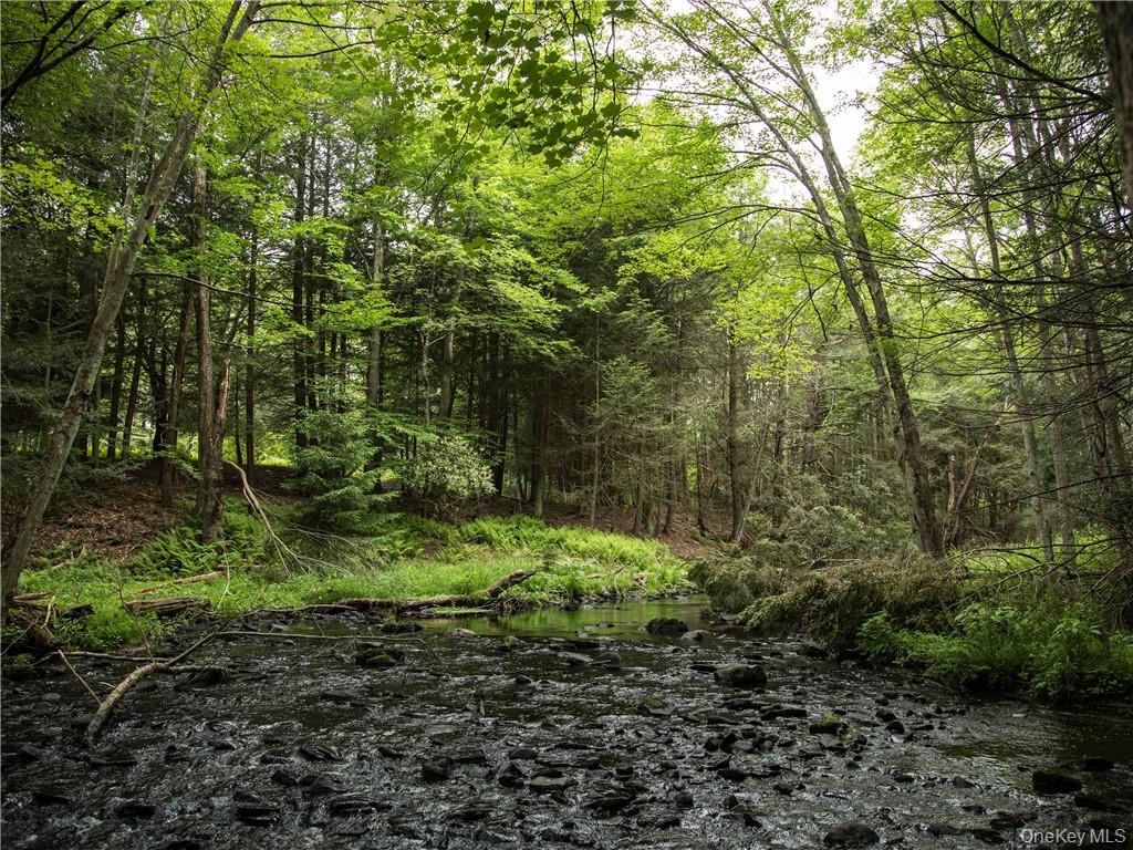 #2 photo, Lot 4 Chapin Trail, Bethel , NY 12720