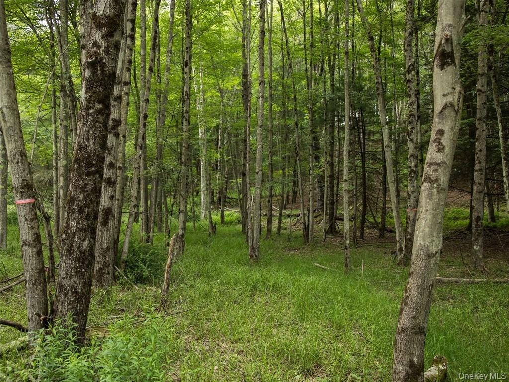 #7 photo, Lot 4 Chapin Trail, Bethel , NY 12720