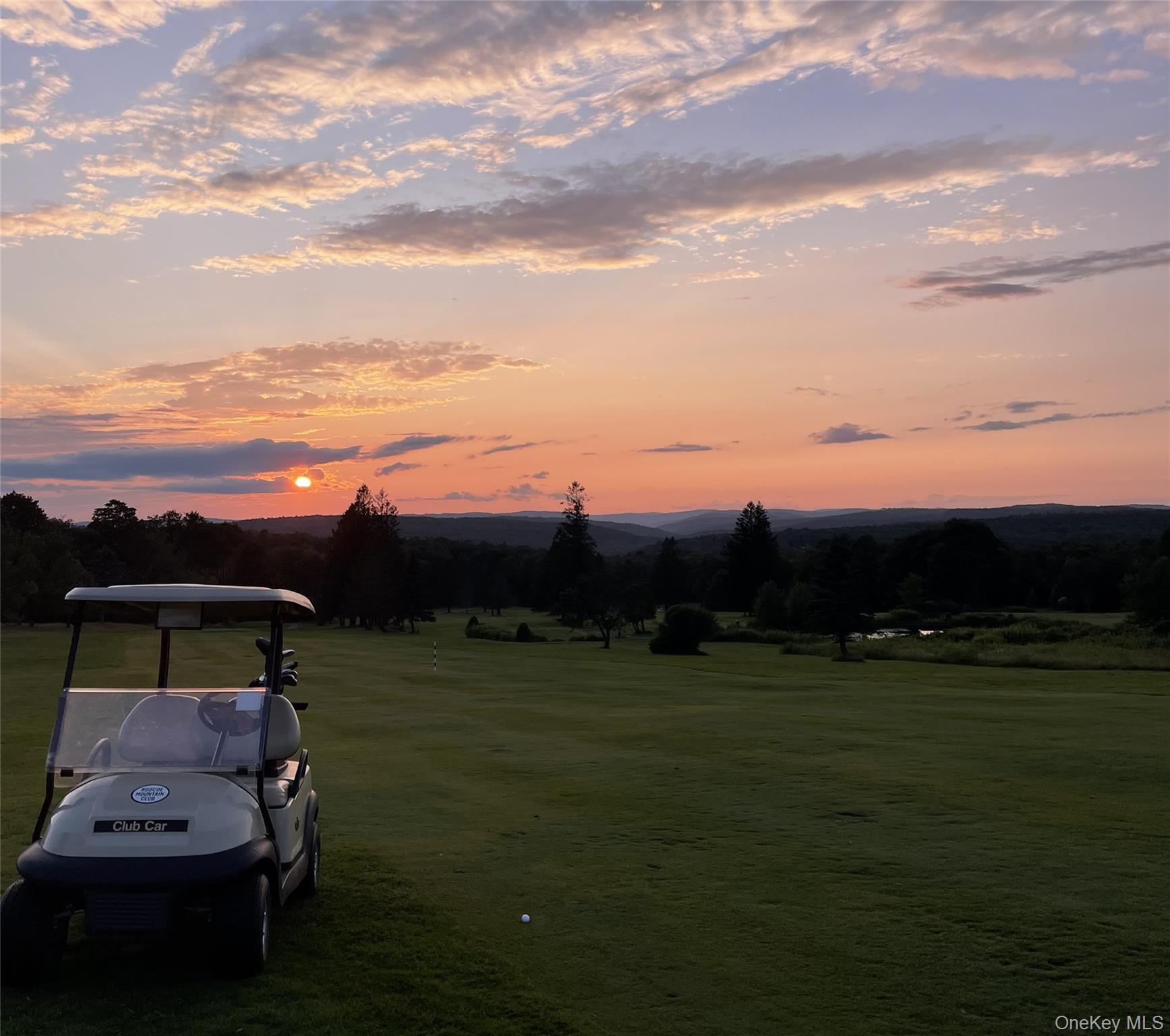 #8 photo, LOT 9 Wood Lake Trail, Roscoe , NY 12736