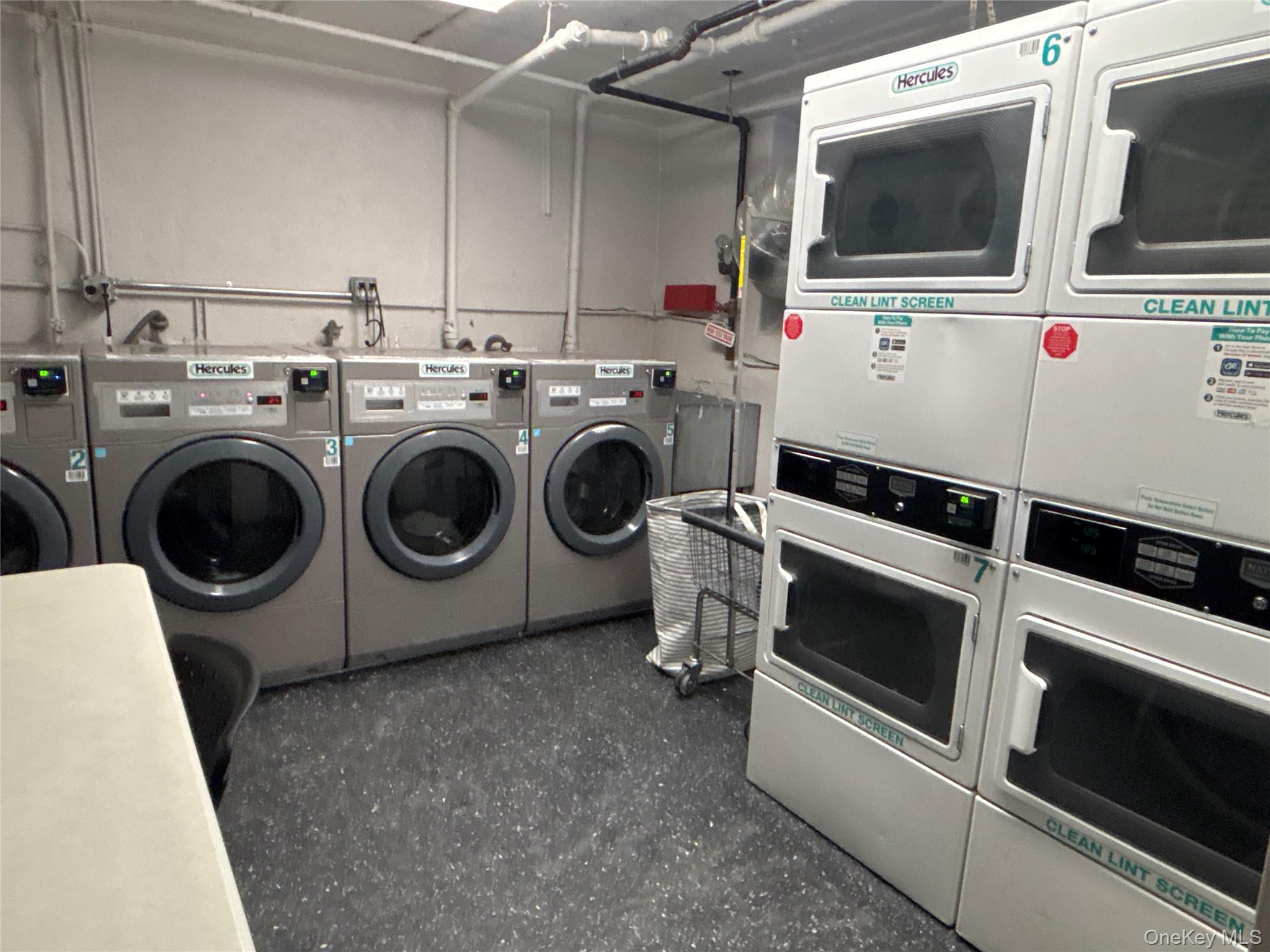 #11 photo, 50 S Middle Neck Road, ग्रेट नेक Great Neck , NY 11021