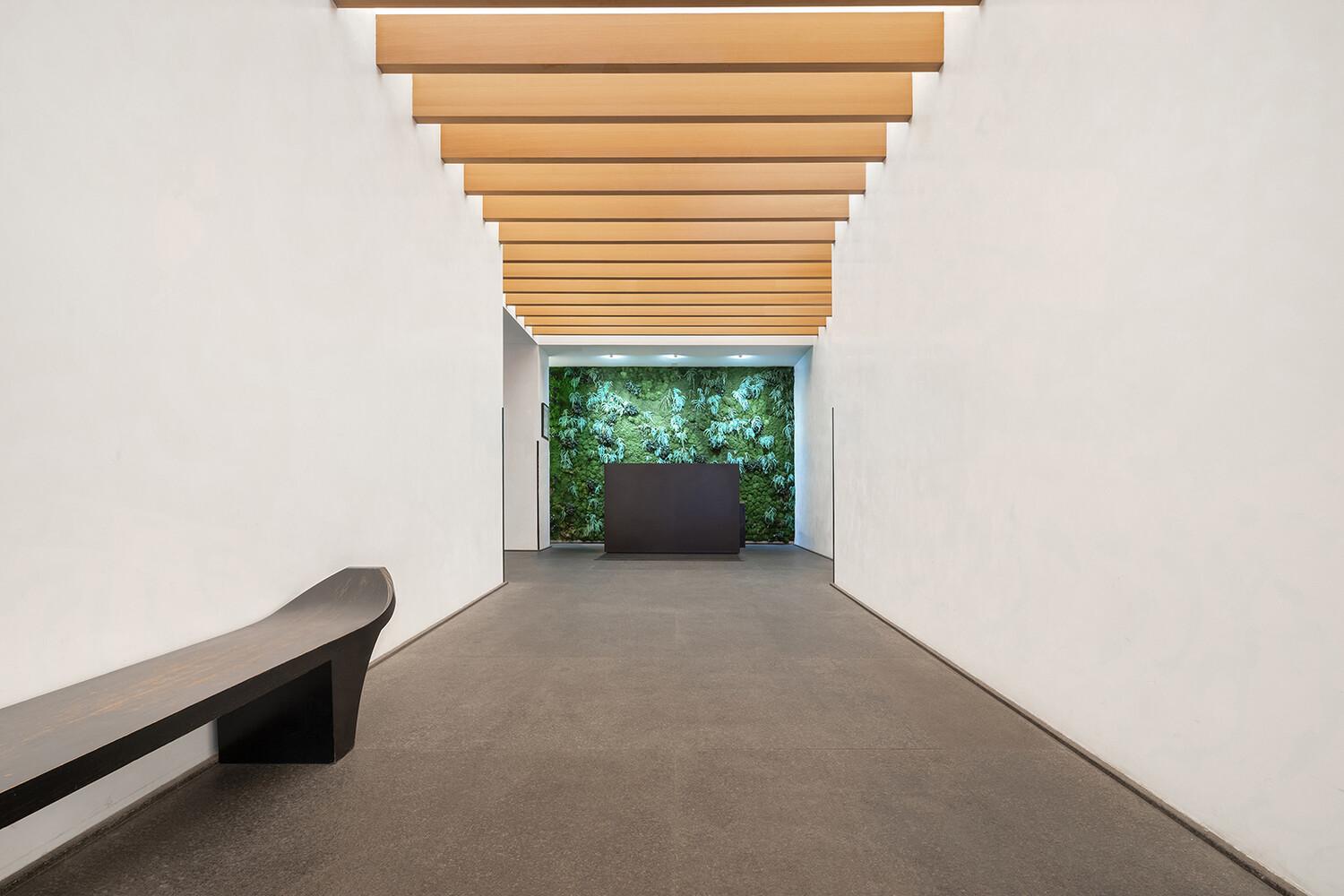 #11 photo, 71 READE Street, מנהטן Tribeca , NY 10007