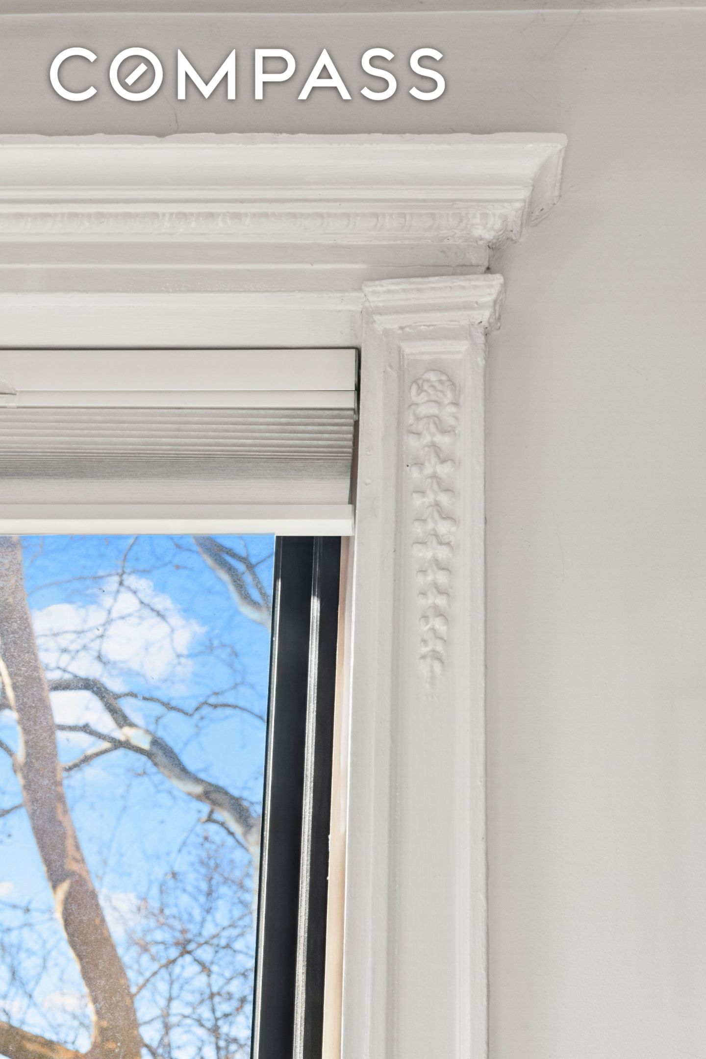 #15 photo, 1271 Park Place, ब्रुकलीन Weeksville , NY 11213