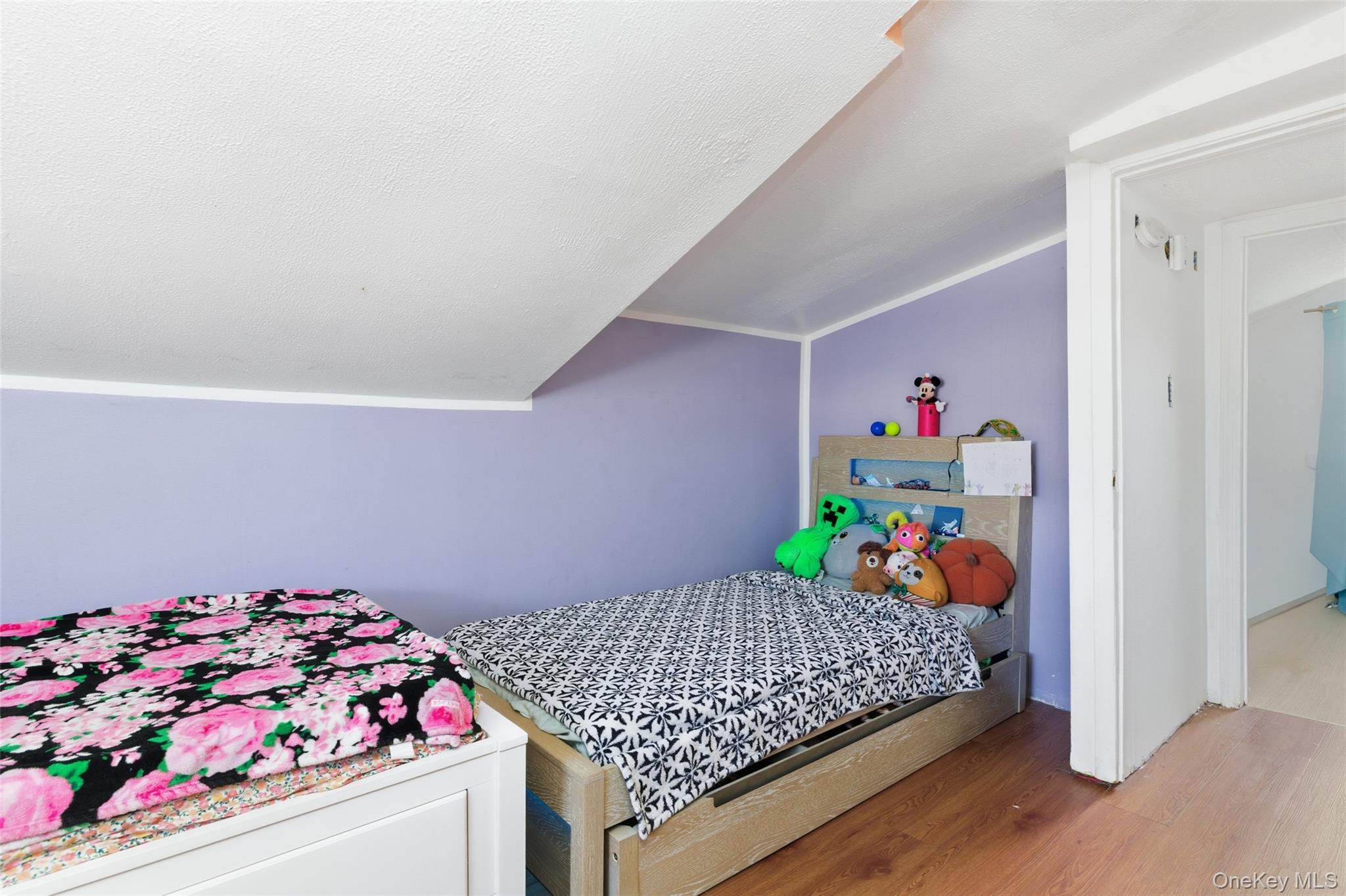 #15 photo, 255 Evans Avenue, नासाउ काउंटी Elmont , NY 11003