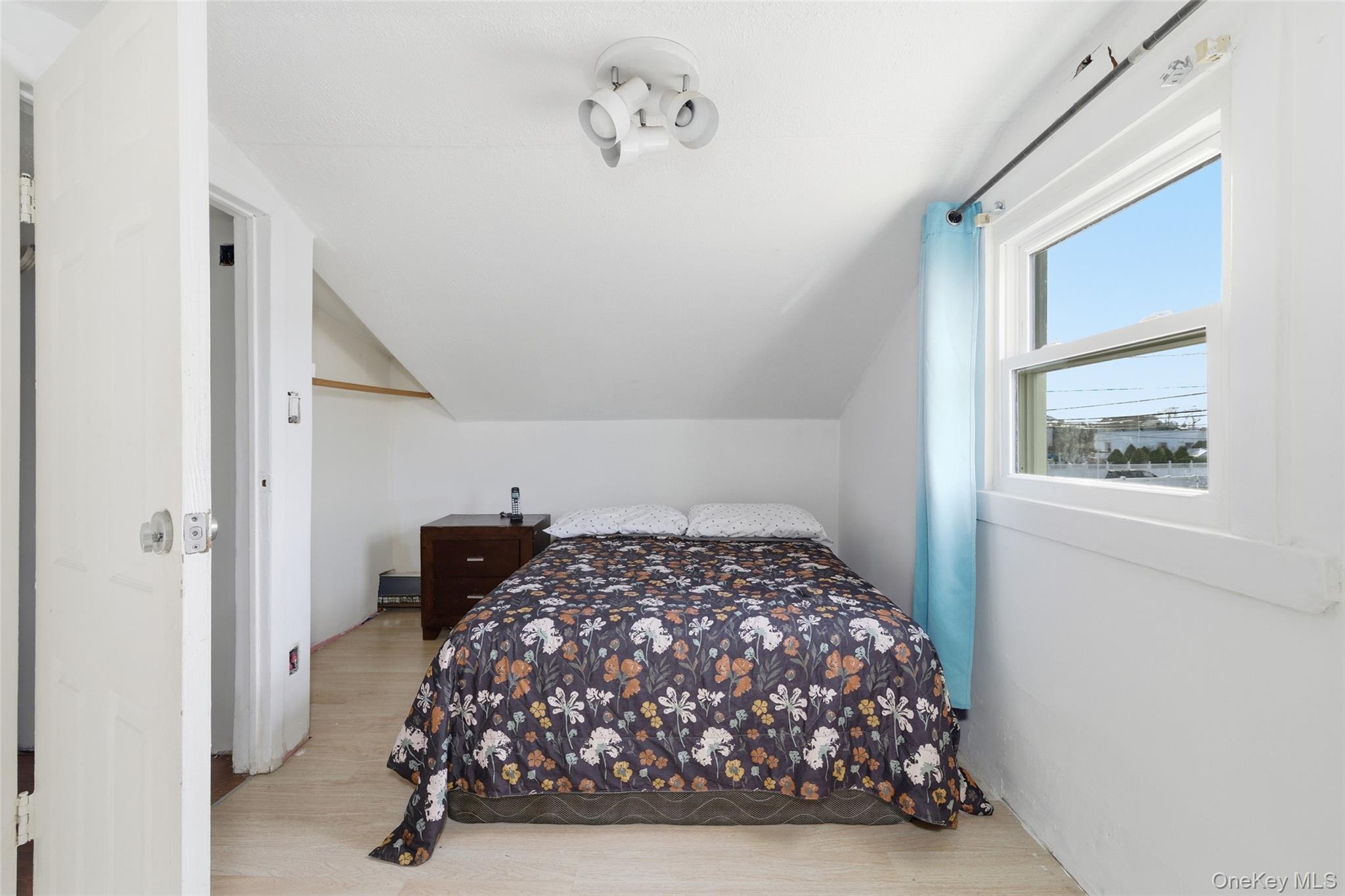 #18 photo, 255 Evans Avenue, नासाउ काउंटी Elmont , NY 11003