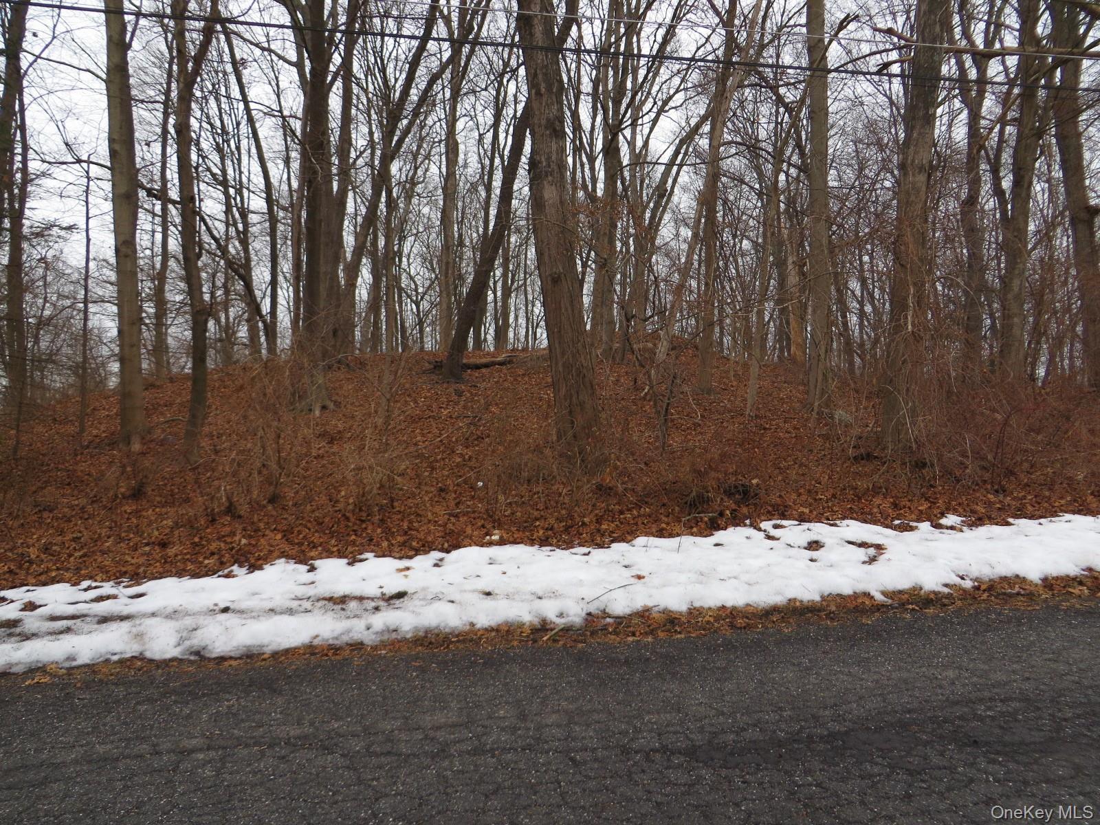 #2 photo, 33 Hubbard Drive, Brewster , NY 10509