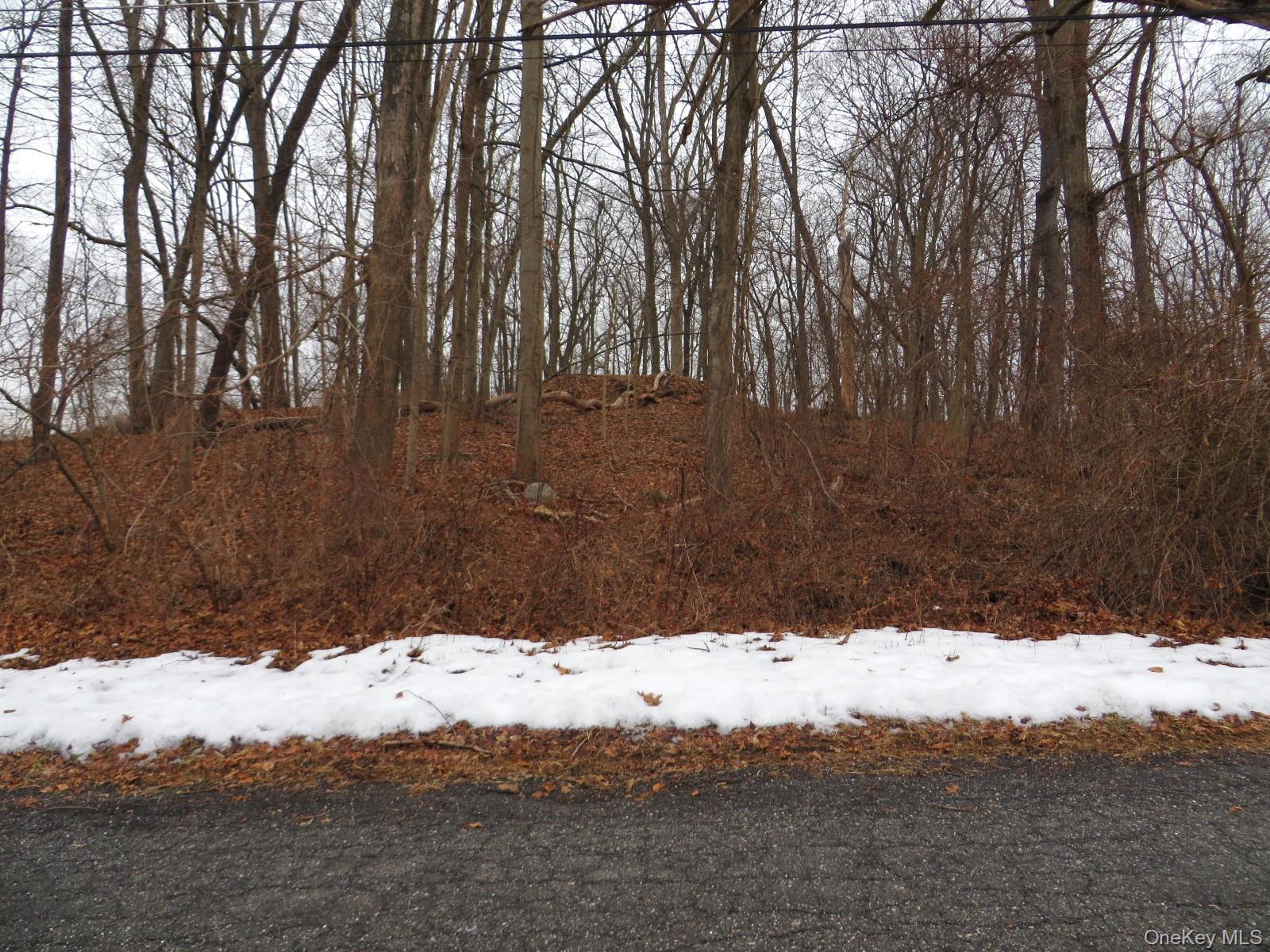 #4 photo, 33 Hubbard Drive, Brewster , NY 10509