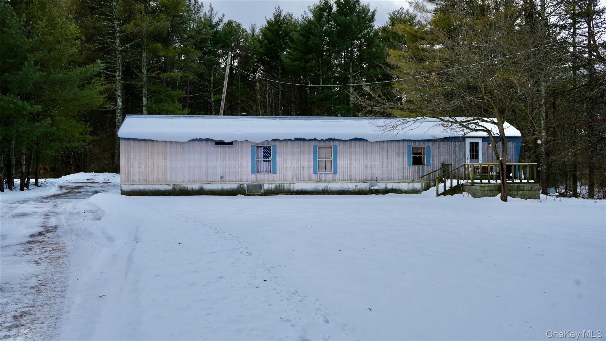 #1 photo, 95 Pine Tree Lane, 뉴욕주 Cairo , NY 12413