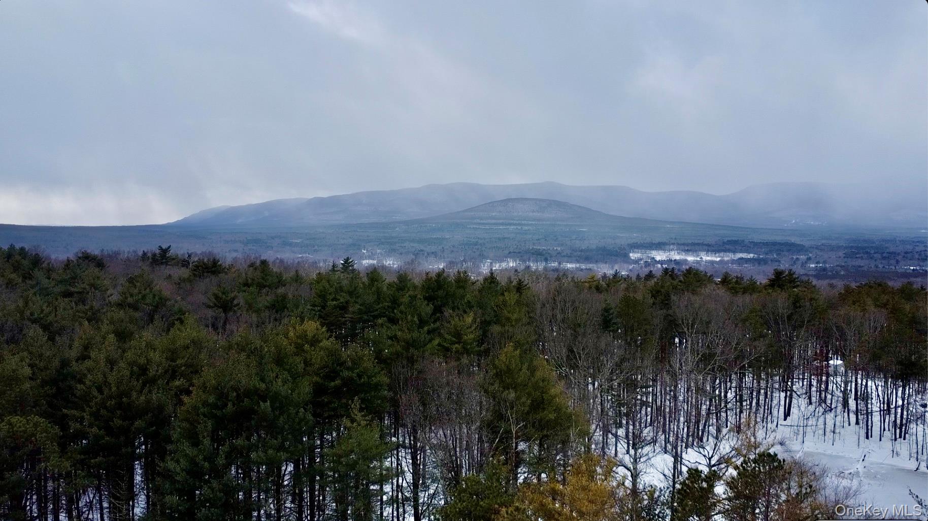 #15 photo, 95 Pine Tree Lane, 뉴욕주 Cairo , NY 12413