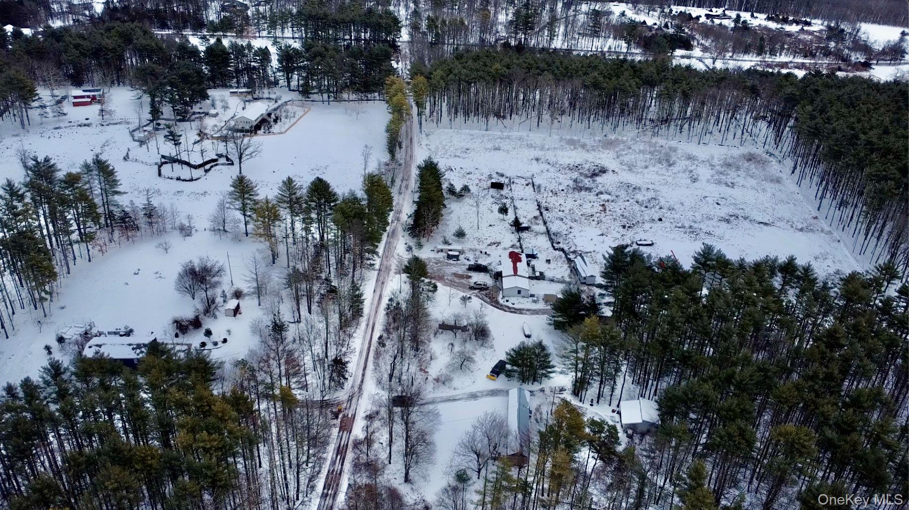 #18 photo, 95 Pine Tree Lane, 뉴욕주 Cairo , NY 12413