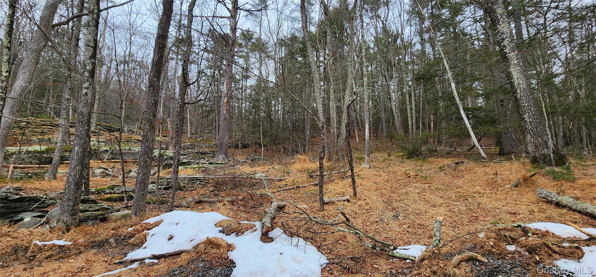 #3 photo, Deer Hill Road, Wurtsboro , NY 12790