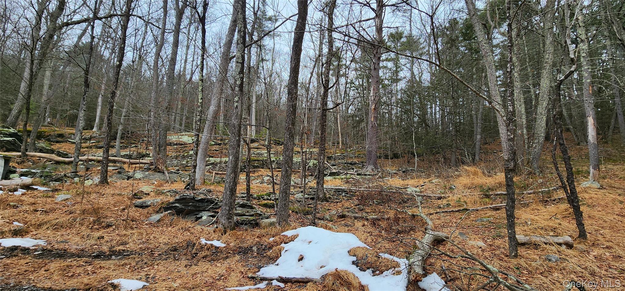 #4 photo, Deer Hill Road, Wurtsboro , NY 12790