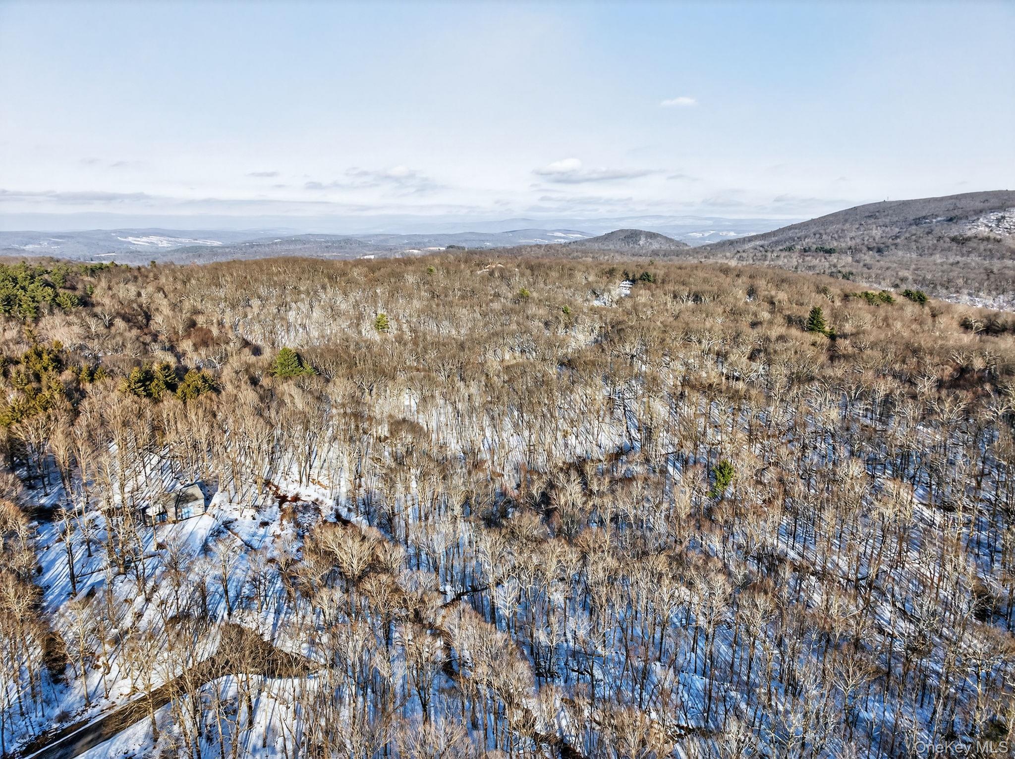 #18 photo, TBD Hicks Hill Road, Pine Plains , NY 12401