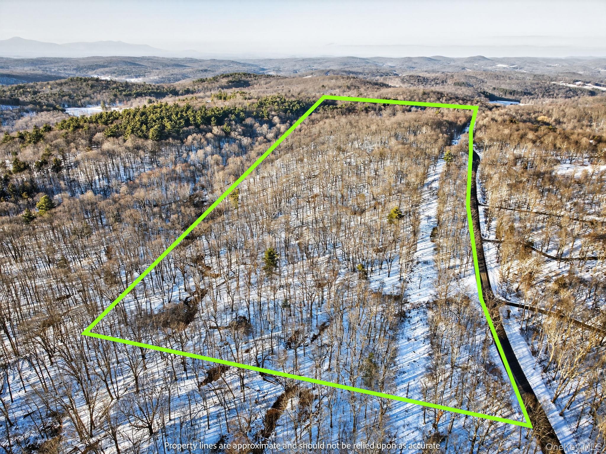 #2 photo, TBD Hicks Hill Road, Pine Plains , NY 12401