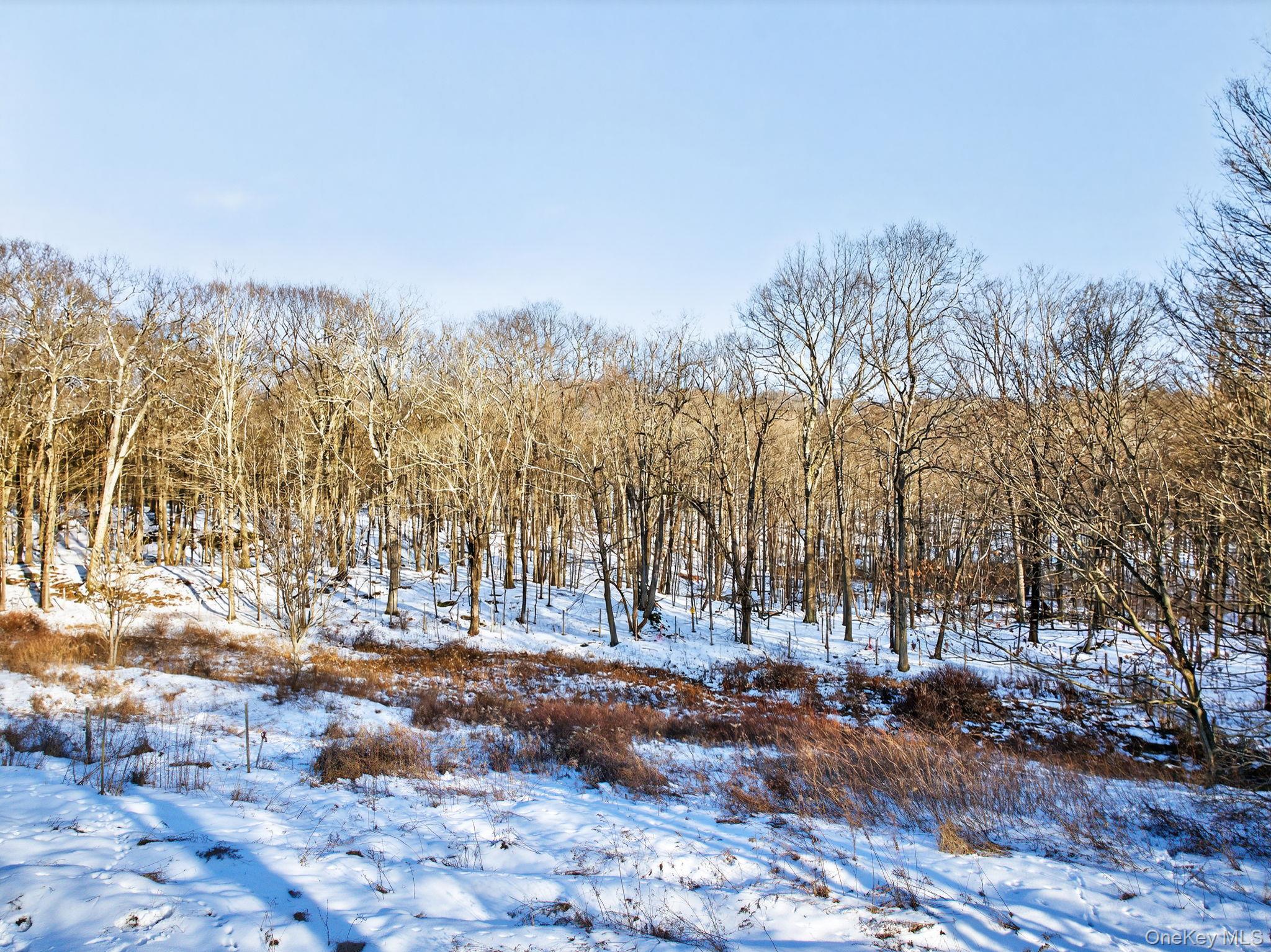 #8 photo, TBD Hicks Hill Road, Pine Plains , NY 12401