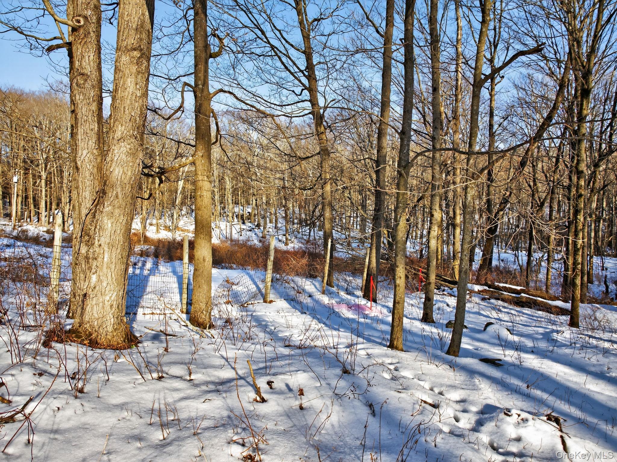 #9 photo, TBD Hicks Hill Road, Pine Plains , NY 12401