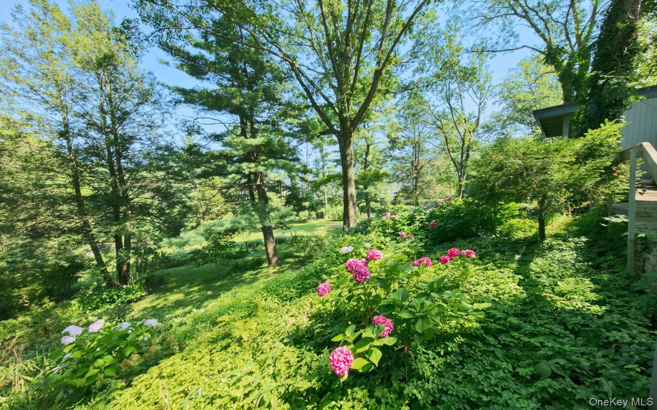 #12 photo, 35 Saxon Woods Road, White Plains , NY 10605