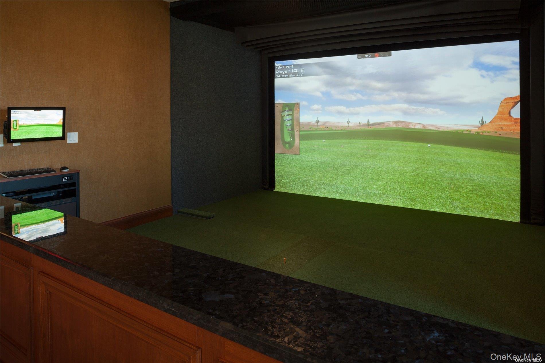 #13 photo, 2000 Royal Court, מחוז נסאו North Hills , NY 11040