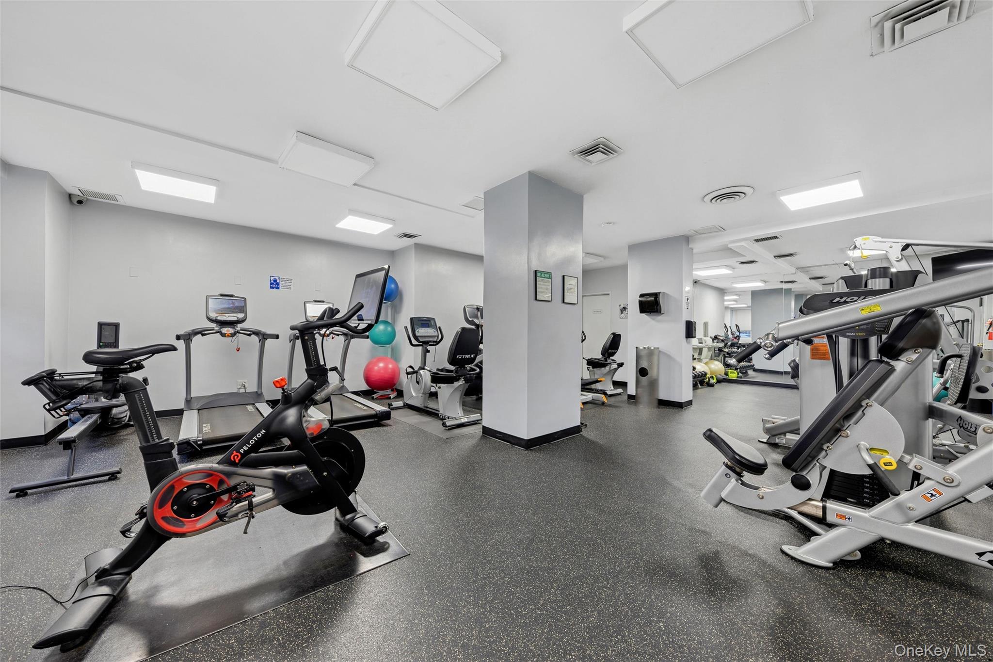 #12 photo, 251 E 51st Street, 曼哈顿 New York (Manhattan) , NY 10022