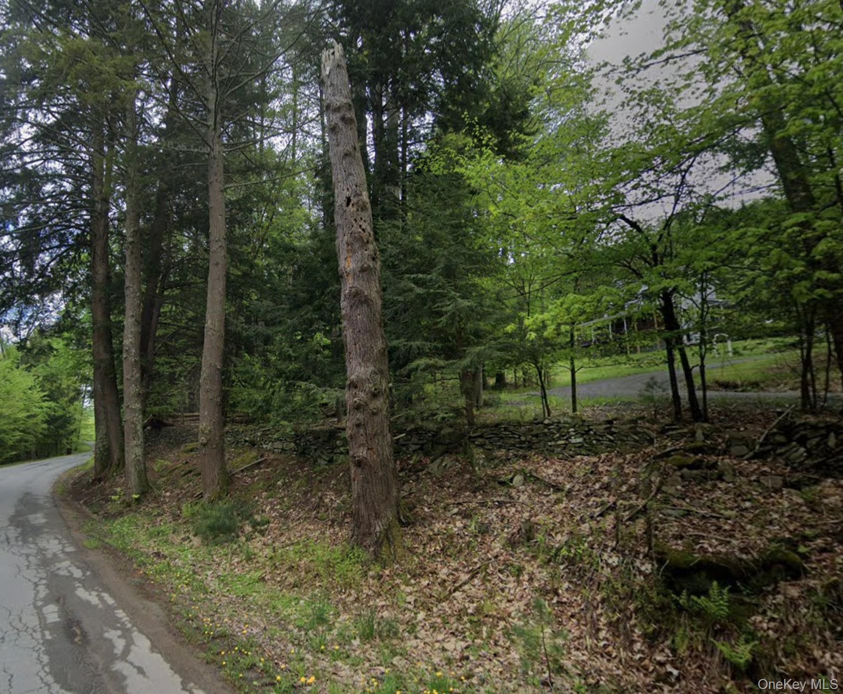 #1 photo, Swallow Trail, Bethel , NY 12720