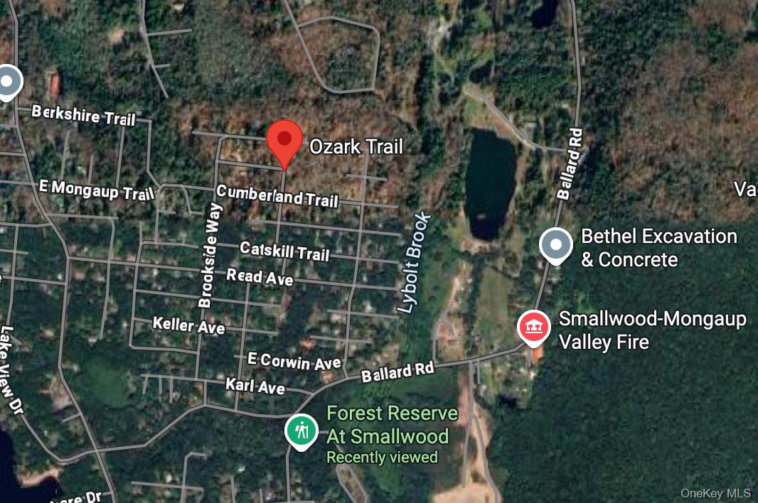 #4 photo, Ozark Trail, Bethel , NY 12720