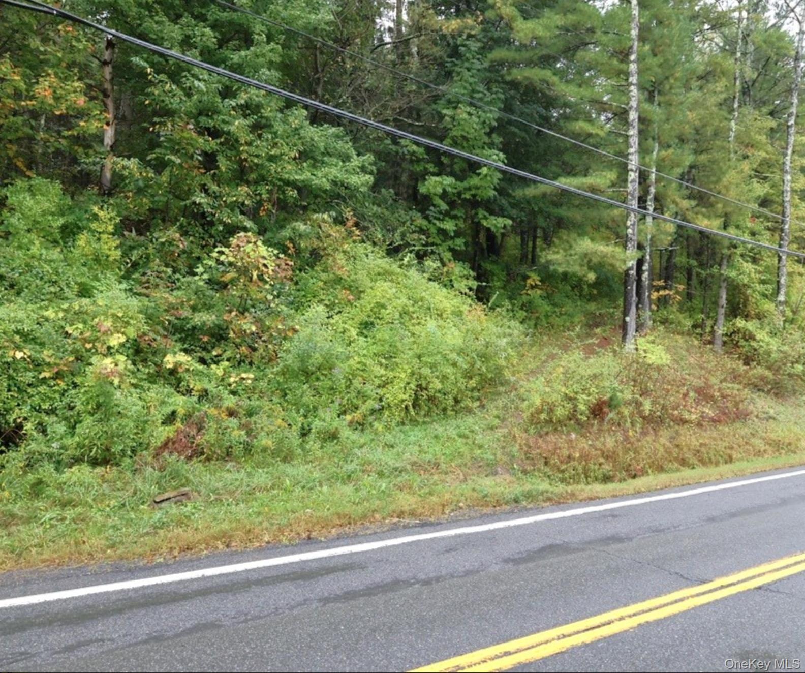 #4 photo, 6067 Route 81, Greenville , NY 12083