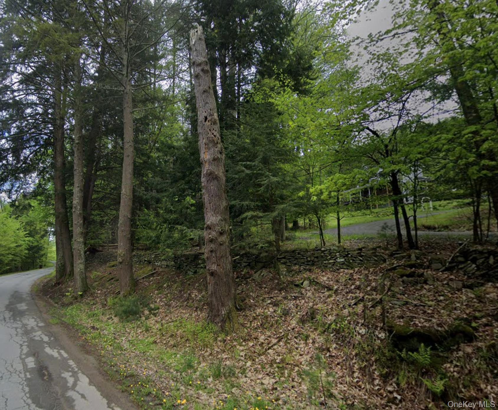 #1 photo, Oriole Trail, Bethel , NY 12720