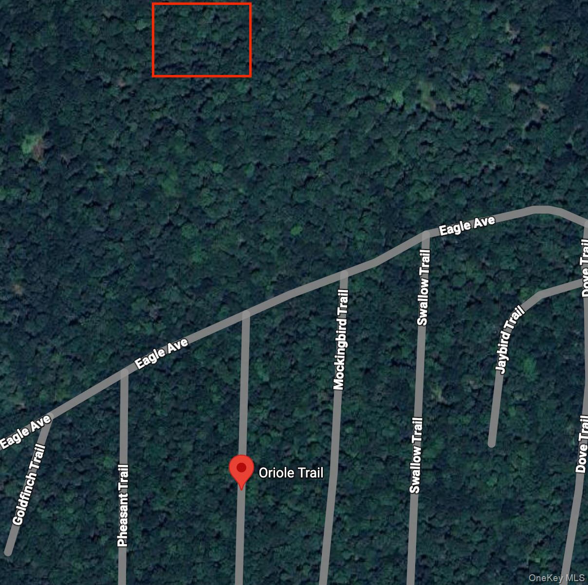 #2 photo, Oriole Trail, Bethel , NY 12720
