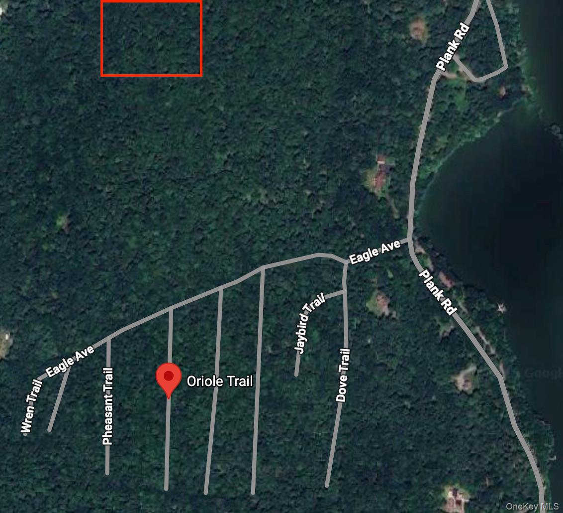 #3 photo, Oriole Trail, Bethel , NY 12720