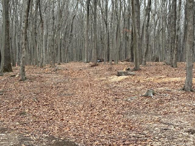 #10 photo, Lot 4 Lockwood Road, 뉴욕주 South Salem , NY 10590