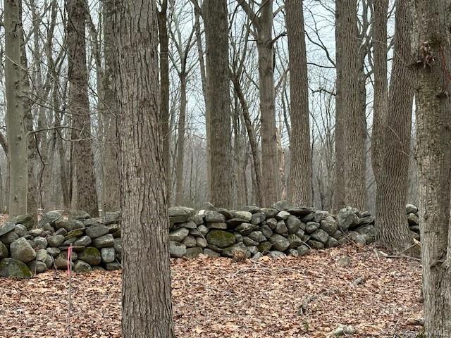 #7 photo, Lot 4 Lockwood Road, 뉴욕주 South Salem , NY 10590