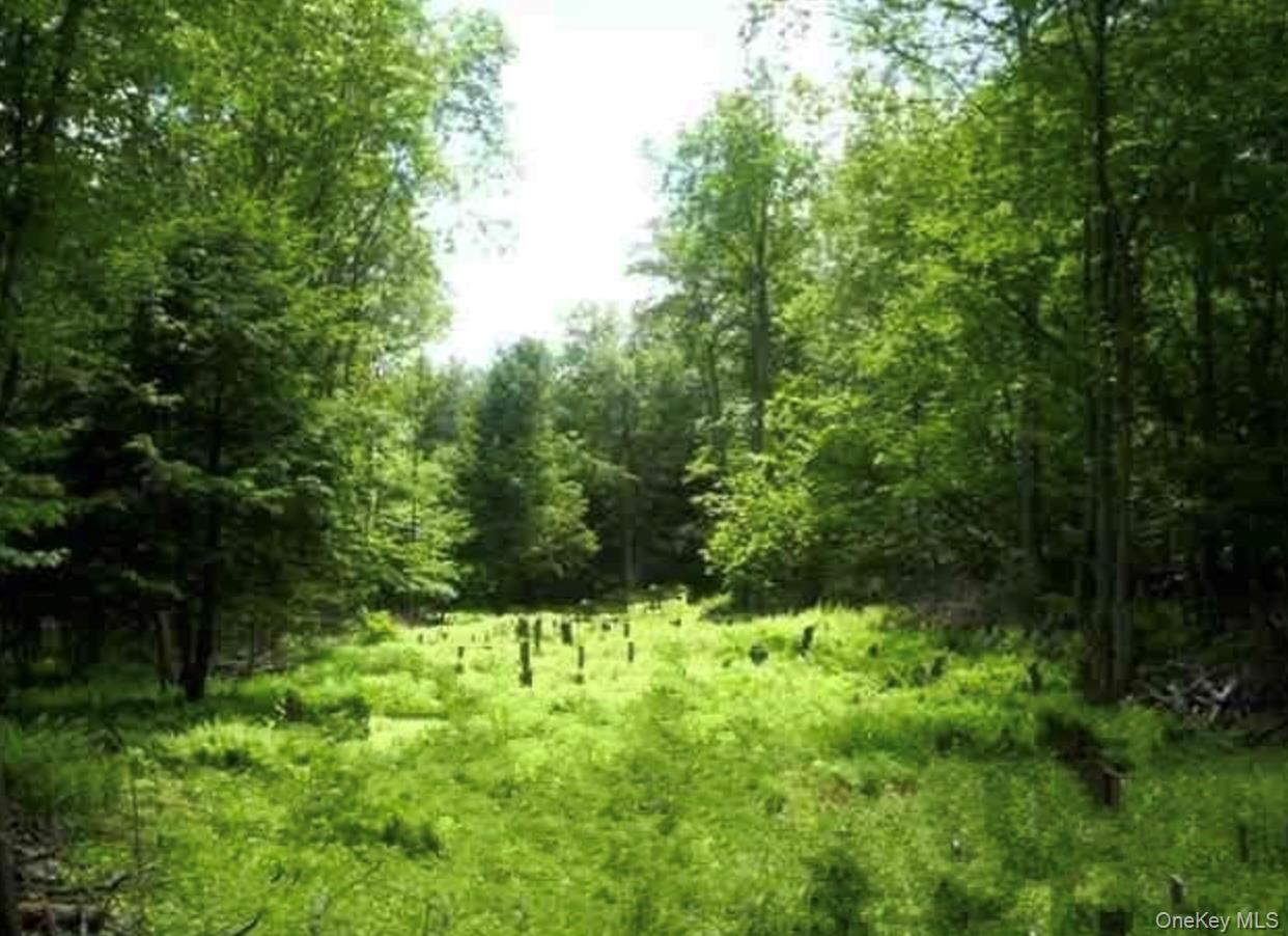 #8 photo, Huschke Road Road, 紐約州 Hurleyville , NY 12733