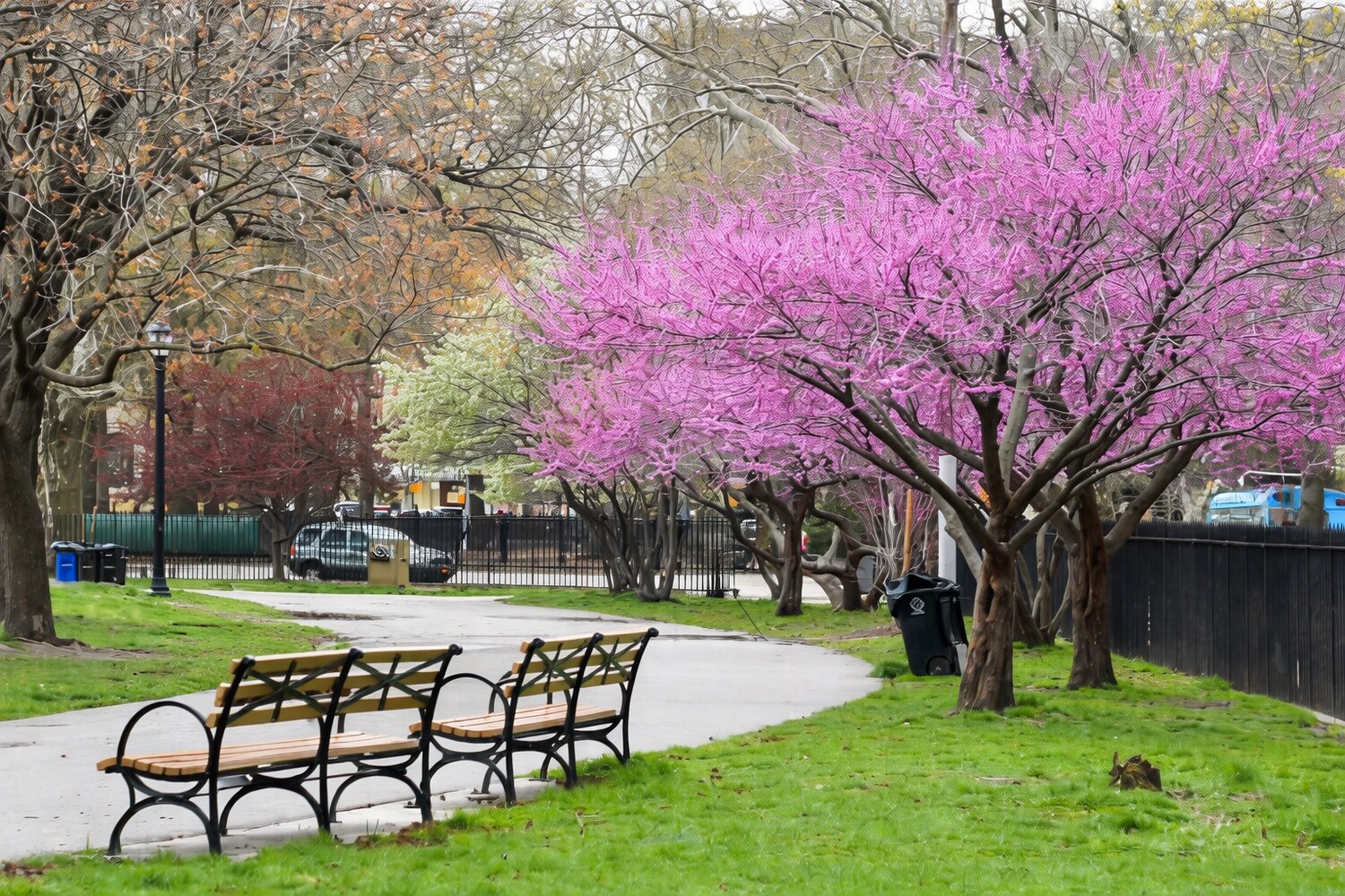 #14 photo, 33 FROST Street, Бруклин ‖ Williamsburg , NY 11211