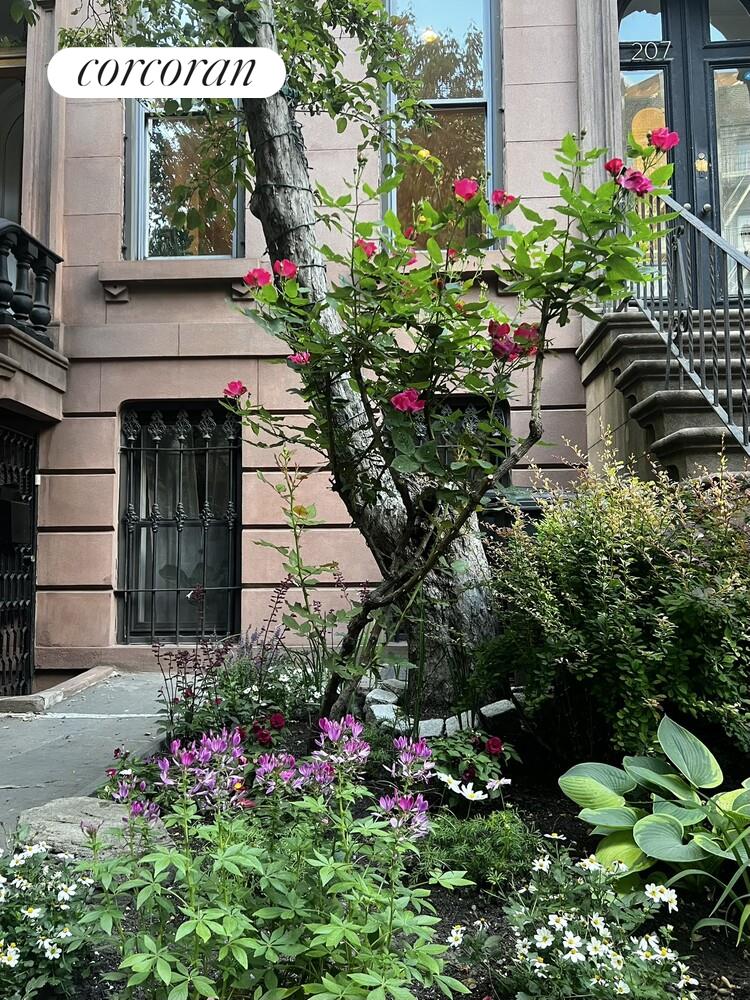 #10 photo, Brooklyn, הברונקס Prospect Heights , NY 11238