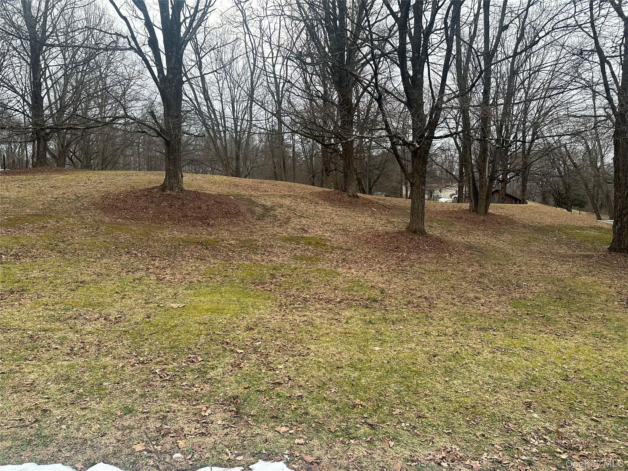 #2 photo, Old Route 199, Red Hook , NY 12571