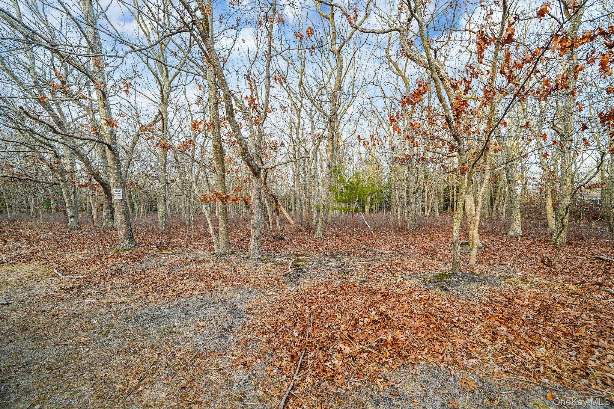 #9 photo, 660 N Magee Street, Southampton , NY 11968