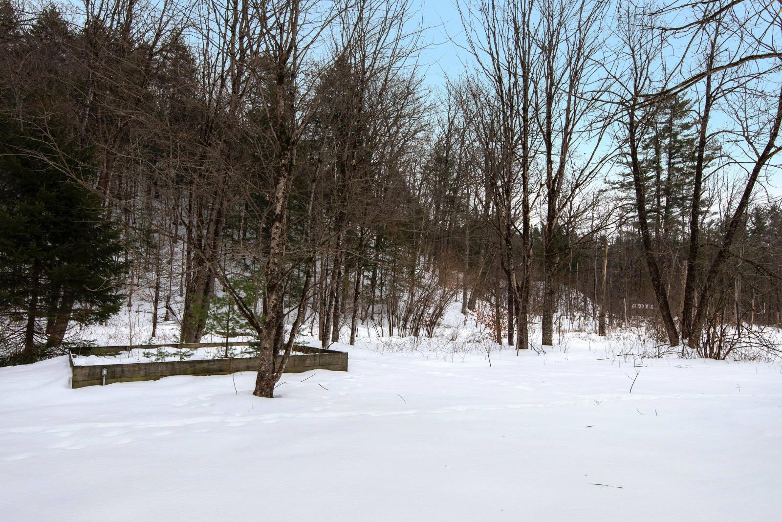 #61 photo, 71 Dolge Ave, Dolgeville , NY 13329