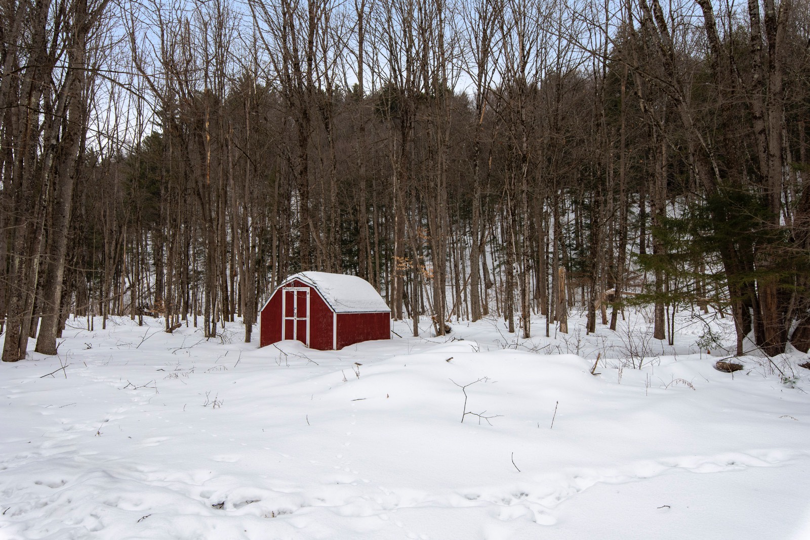 #62 photo, 71 Dolge Ave, Dolgeville , NY 13329