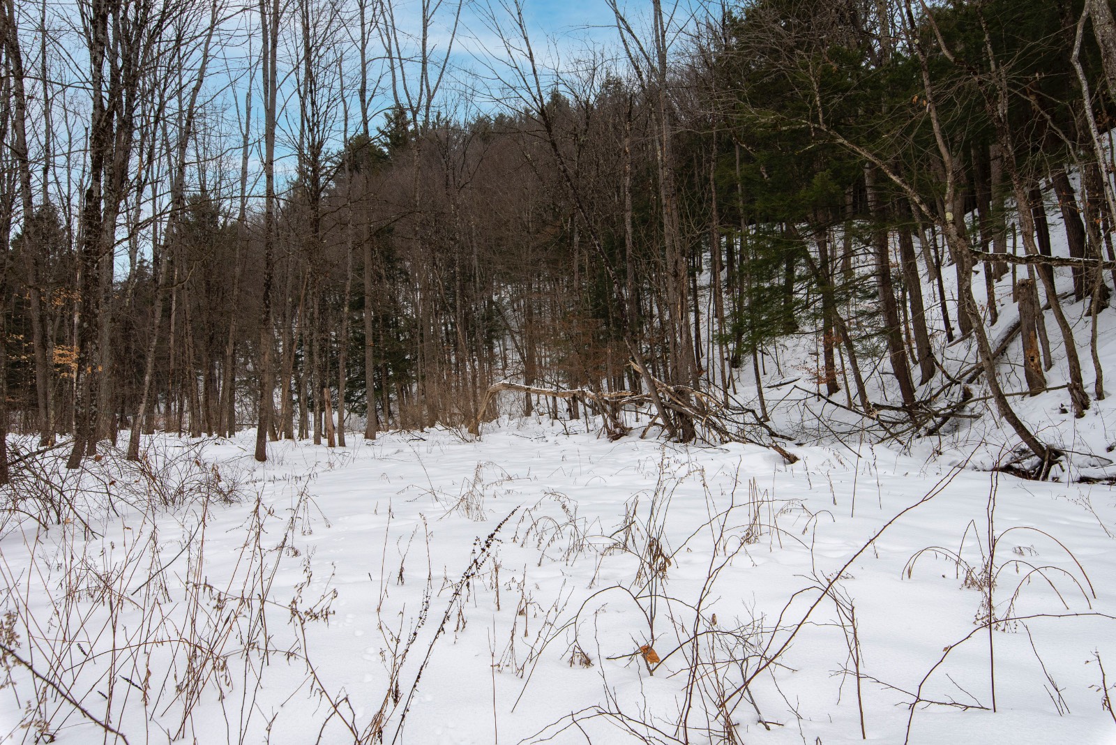 #63 photo, 71 Dolge Ave, Dolgeville , NY 13329