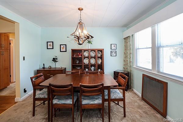 #7 photo, 246-04 86th Avenue, Bellerose , NY 11426